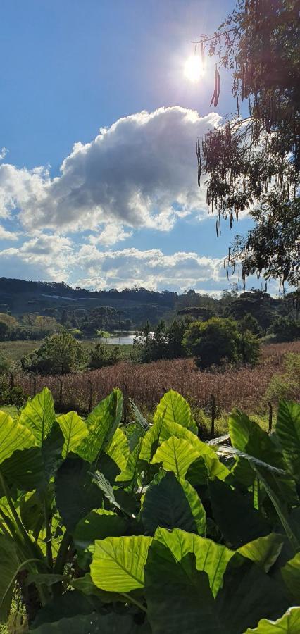 فيلا Loft No Campo Proximo Ao Vale Dos Vinhedos غاريبالدي المظهر الخارجي الصورة