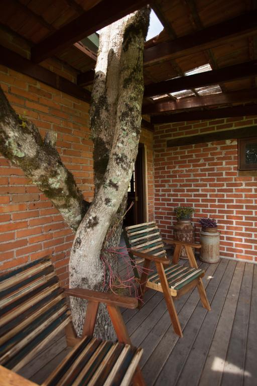 فيلا Loft No Campo Proximo Ao Vale Dos Vinhedos غاريبالدي المظهر الخارجي الصورة